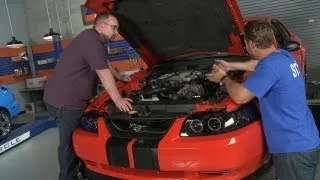 1999-2004 Mustang V6 Power & Acceleration Pack-Bolt-On Build-Ups
