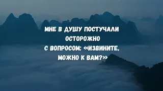 Мне в душу постучали осторожно с вопросом