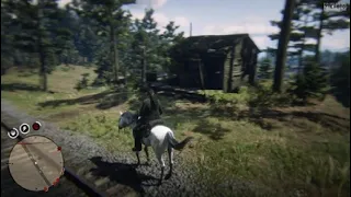 Red Dead Redemption 2_2023