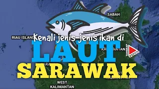 Kenali Jenis-jenis Ikan di Laut Negeri Sarawak, Malaysia
