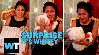 Guy Surprises Girlfriend with Long Lost Teddy Bear | What's Trending Now