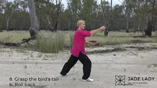 Tai Chi 24 Back View