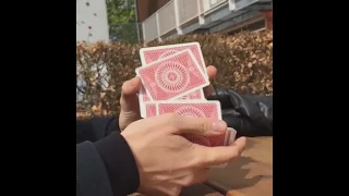 Oliver Sogard Best Cardistry Compilation #3