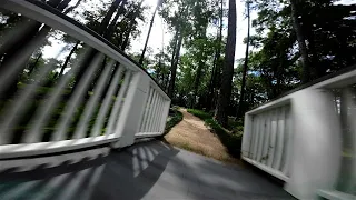 Lot's of Trees 🌲 Let's go Fast! 👀 FPV Freestyle