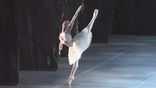С. Гаштарска, Одетта (Odette), Пермский театр оперы и балета
