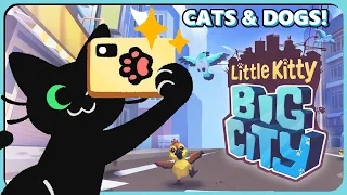 MISCHIEF AND SELFIES IN COZY CAT SIM! Little Kitty, Big City