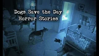 4 Scary Stories Where Dogs Saved the Day