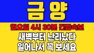 [금양]월요일 4시 30분 긴급속보 새벽부터 난리났다 일어나서 꼭 보세요 #금양 #금양주가전망 #금양주가