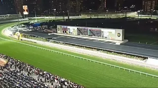 Passion 😘 ~ Night Horse Racing, Hong Kong 🇭🇰, Happy Valley racecourse