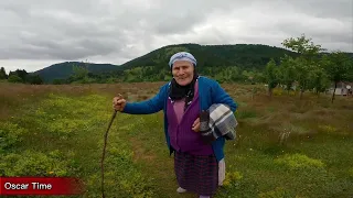 Bir Göç Hikayesi Yayla Göçü Düzköy Kayaüstü Yaylası