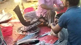 Fish cutting video live in bd fish market | Expert fish cutting man today show amazing video -303