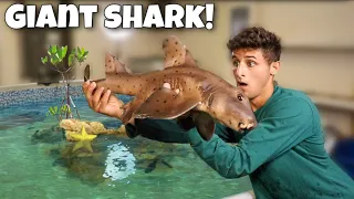 Rescuing A SHARK For My EXOTIC Saltwater POND!!