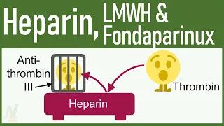 You Will Know EVERYTHING About Heparin, LMWH & Fondaparinux After Watching This Video