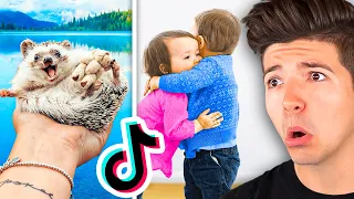 CUTEST Videos On TIKTOK *Try Not To Say AWW!*