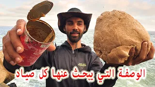 سردين معلب يساوي العجينة السحرية لصيد الكثير من الأسماك (وصفة رائعة ورخيصة) #Ajinsaydo