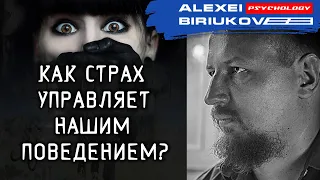 Как страх управляет нашим поведением / Алексей Бирюков / Психолог /