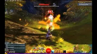 Guild Wars 2 Ranger Solo Build Test