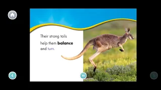 Kangaroo #shortstoriesforkidsinenglish #kidslearning #kidsvideos #khanacademykids #preschool