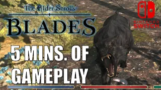 5 Minutes of Elder Scrolls Blades Nintendo Switch Gameplay