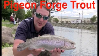 Pigeon Forge Trout Fishing