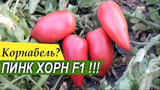 ПИНК ХОРН F1 - тип Корнабель - десертный, перцевидный томат от Rijder Seeds - Добрые Семена.ру