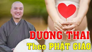 THẦY Chỉ Cách Dưỡng Thai và Giáo Dục Con Cái | Thầy Thích Pháp Hòa Giảng