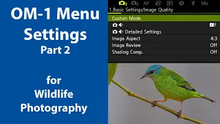 OM1 camera menu settings for wildlife photography. Part 2