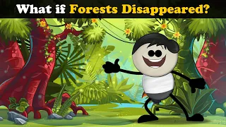 What if Forests Disappeared? + more videos | #aumsum #kids #science #education #children
