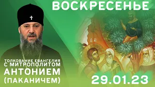 Толкование Евангелия с митр. Антонием (Паканичем). Воскресенье, 29 января 2023 года