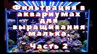 Фильтрация в аквариумах для выращивания малька. Часть 2