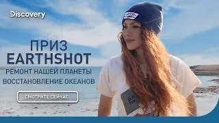 Восстановление океанов | Приз Earthshot: ремонт нашей планеты | Discovery