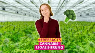 Der Plan zur Cannabis-Legalisierung – und wie wir ihn verbessern müssen 🥦 #FREEFACTS #420