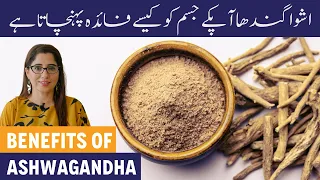 Ashwagandha Health Benefits In Urdu - Ashwagandha Ke Fayde - Best Way To Consume Ashwagandha