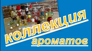 2.КОЛЛЕКЦИЯ АРОМАТОВ: ЛЮКС И БЮДЖЕТ