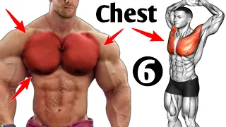 6 Big chest exercises at gym