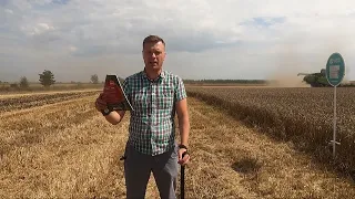 Итоги производственных сортоиспытаний по озимой пшенице