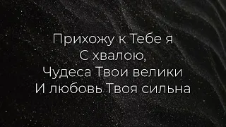 Прихожу к Тебе я с хвалою