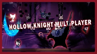 Ужасающий Прекрасный Могучий 112% Жучий флекс: Hollow knight Multiplayer