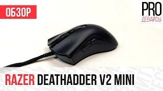 Обзор Razer Deathadder V2 Mini. Лучшая эргономика для маленьких рук?