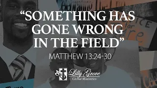 Something Has Gone Wrong in the Field (Matthew 13:24-30) - Rev. Terry K. Anderson