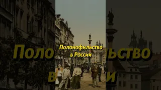 Историческое полонофильство среди русского дворянства! #история #россия #shorts