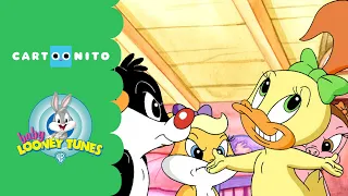 Baby Looney Tunes | Melissa's Mean Jokes | Cartoonito