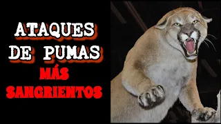 Ataques de Pumas más Sangrientos