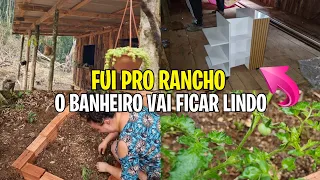 Fui no Rancho Fazer minha Horta||Diário da Obra||O Banheiro vai ficar Lindo