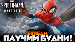 ПАУЧИИ БУДНИ!- SPIDER-MAN REMASTERED ПРОХОЖДЕНИЕ НА РУССКОМ 100% №5 #человекпаук