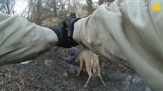 Kansas game warden frees tangled deer by literally shooting their antlers apart