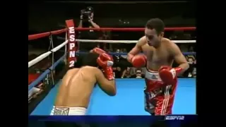 Nonito Donaire vs Villalobos Knock Out