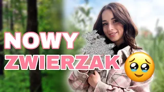 Mój nowy ZWIERZAK! | Syla ♡