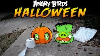 Real Life Angry Birds Seasons