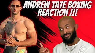 Andrew Tate Boxing REACTION!!!